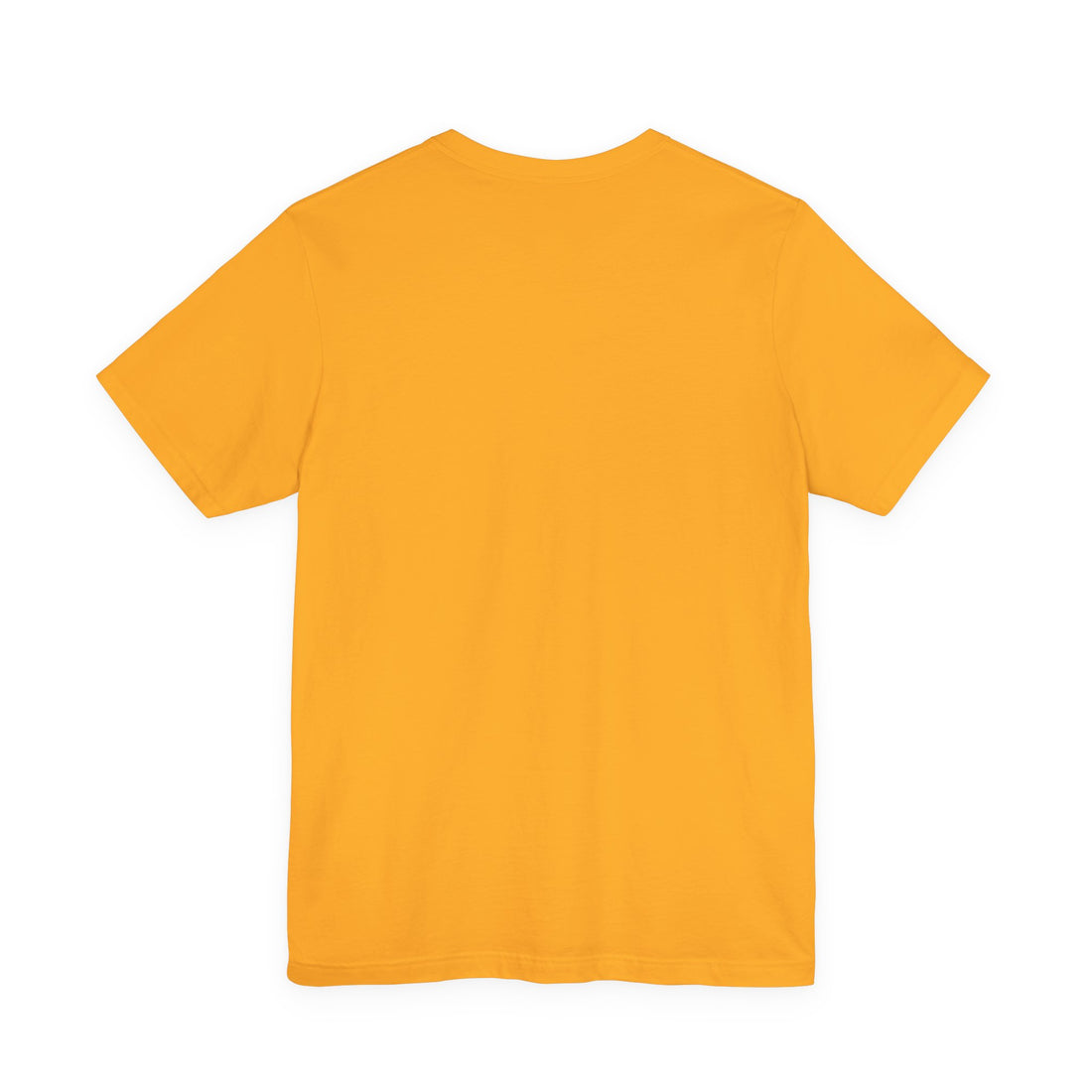 I Put This On. That's An Achievement. T-Shirt